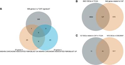 Prognostic Value of Cancer-Associated Fibroblast-Related Gene Signatures in Hepatocellular Carcinoma